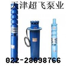 天津潛水電機(jī)，天津潛水泵