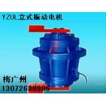 YZUL立式振動(dòng)電機(jī)